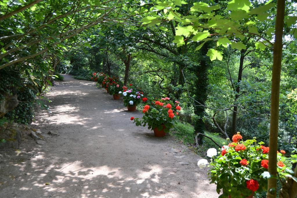 Chateau De Peufeilhoux Bed & Breakfast Vallon-en-Sully Eksteriør bilde